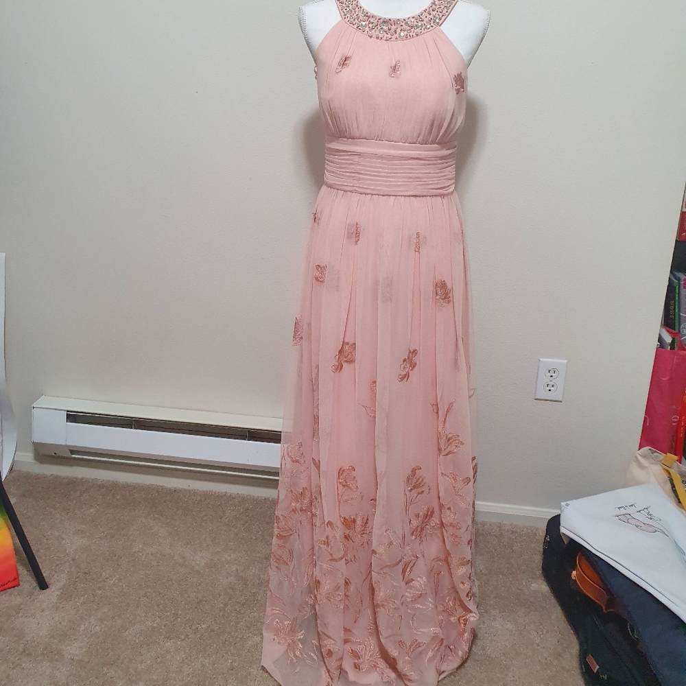 Pink rose embroidered sequin neckline maxi dress